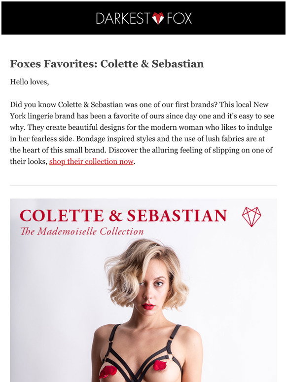 Barbara Bondage Set • Colette & Sebastian • NYC Designer Lingerie– Darkest  Fox