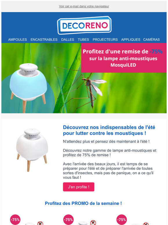 Comment se débarrasser des moustiques ? 😧