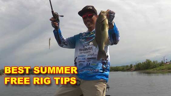 BassResource: Summer Fishing Tips That Work