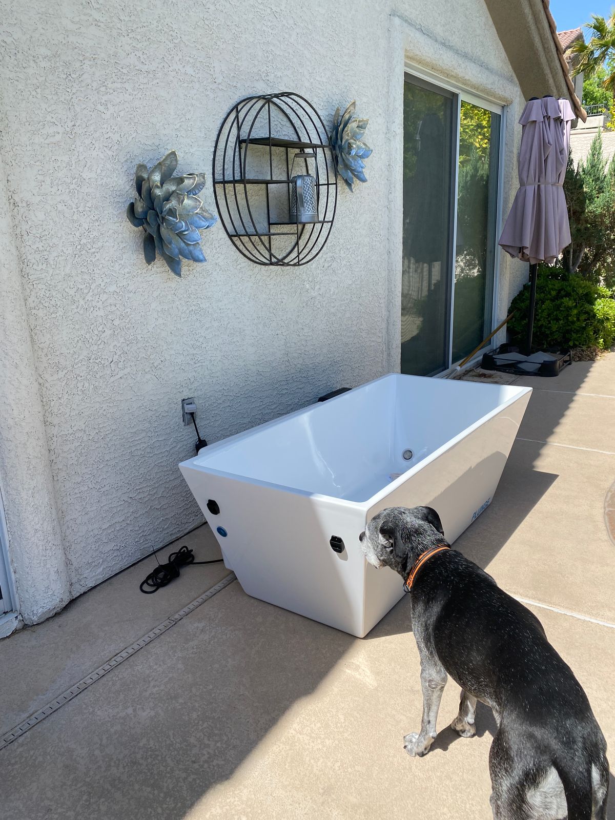 Plunge How ice baths can improve your mental health Milled