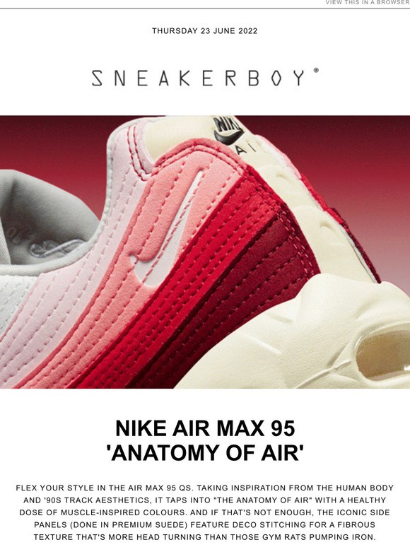 Nike Air Max 95 'Anatomy of Air'