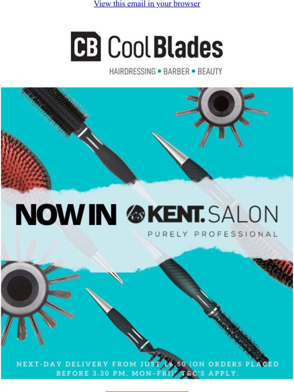 NEWLY LISTED: PROFESSIONAL BRUSHES FROM KENT SALON