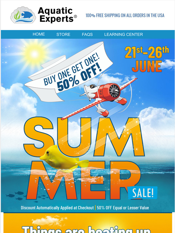 Experts Guide To Saltwater Aquariums Plus 3 Bonus Reports 🏝️Final days