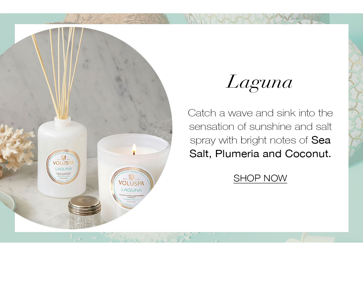 LAGUNA  Catch a wave and sink into the sensation of sunshine and salt spray with bright notes of Sea Salt, Plumeria and Coconut.  SHOP NOW>