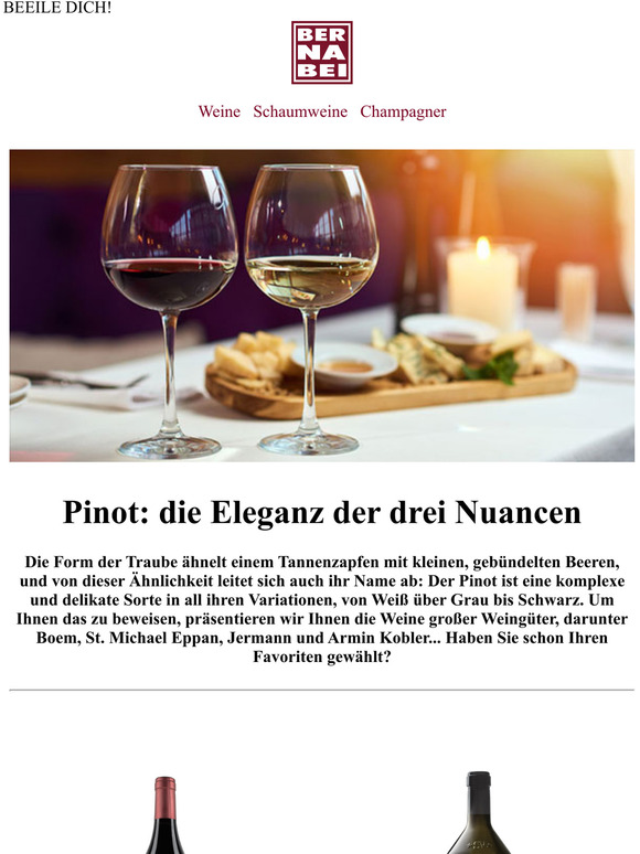 Pinot ⚡ LETZTE GELEGENHEIT... ⚡