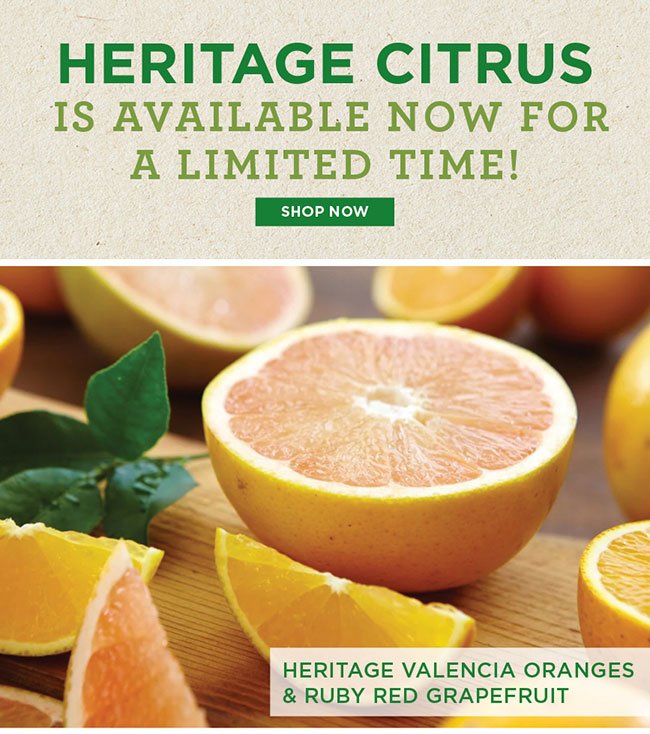 Heritage Valencia Oranges and Ruby Red Grapefruit