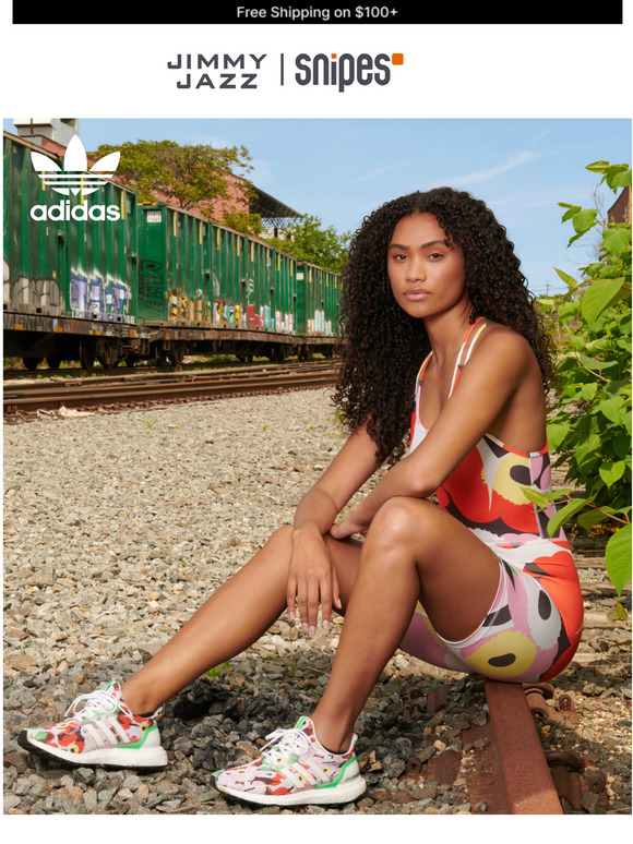 jordan 6 bordeaux jimmy jazz