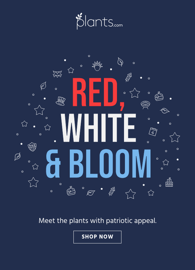 Just in for July 4th Weekend... Milled