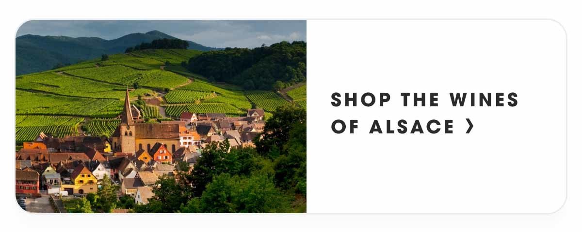 Shop the Wines of Alsace