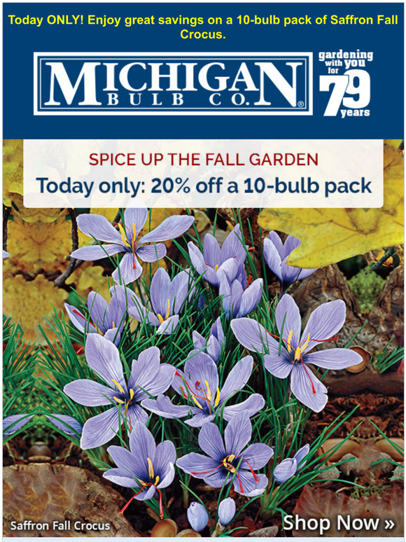 Michigan Bulb Grow the most expensive spice — 20 off! Milled