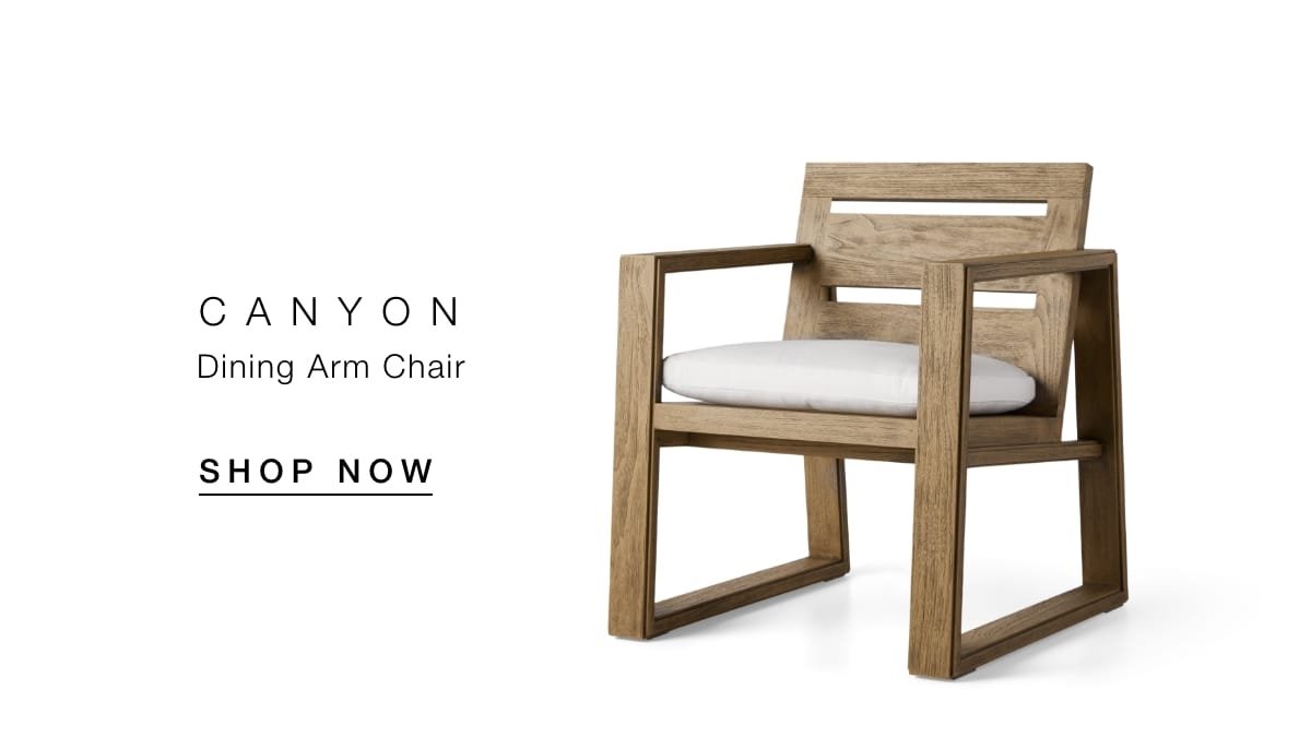 Canyon Dining Arm Chair