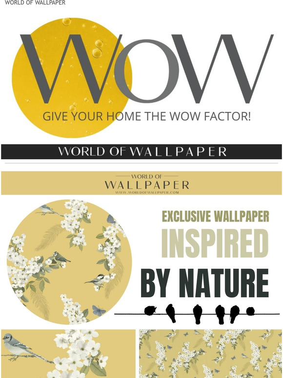 Beautiful exclusive bird themed wallpapers at World of Wallpaper