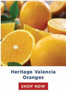Heritage Valencia Oranges