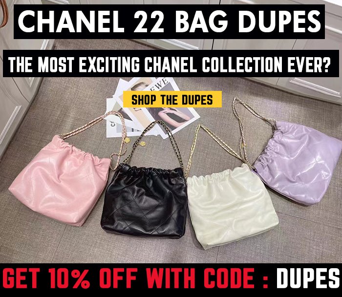 BAGINC : BGLAMOUR LIMITED: New In: Chanel 22 Bag Dupes : The Most Exciting  Chanel collection EVER?