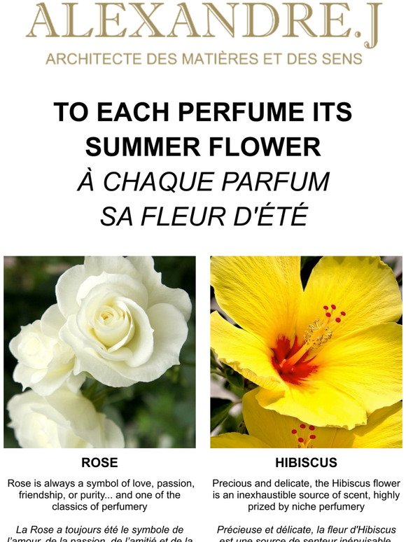 ☀️ Which Summer perfume is made for you ? ☀️