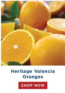 Heritage Valencia Oranges