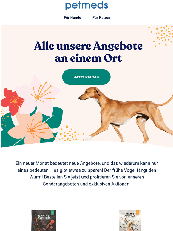 Neue Angebote, die sich lohnen