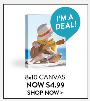 8x10 Canvas | Now $4.99 | Shop Now>