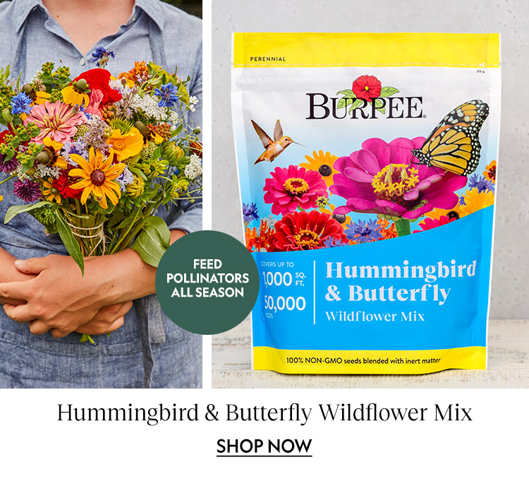 Burpee Gardening Go Wild for Wildflowers! Milled