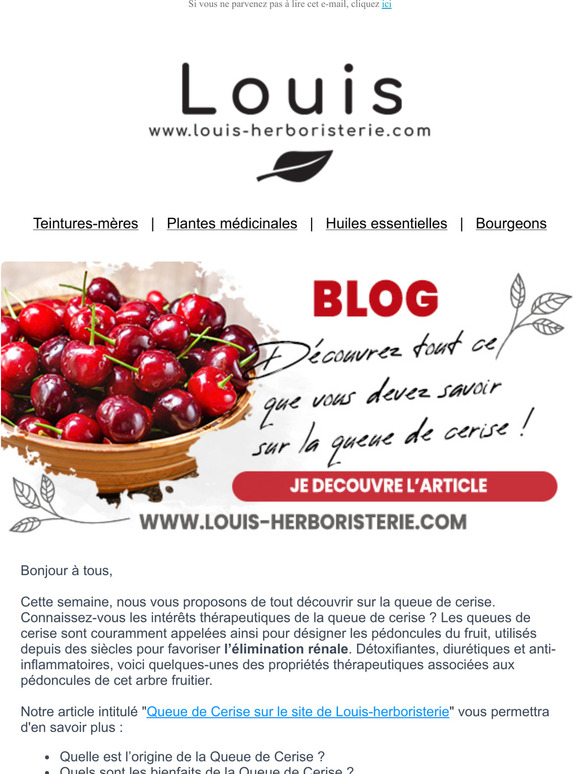 🌿Comment profiter des vertus de la Queue de Cerise en 8 questions à l'herboristerie Louis ?🌿