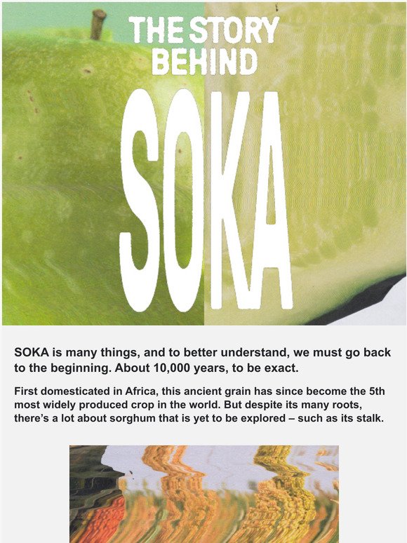 The story behind SOKA