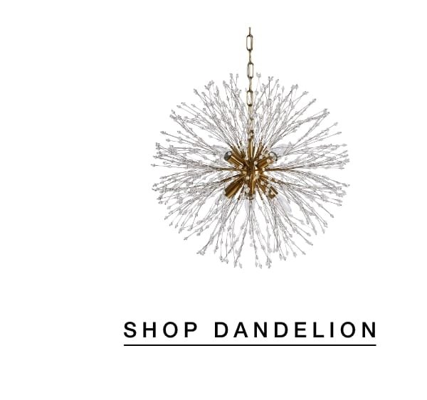 Shop Dandelion
