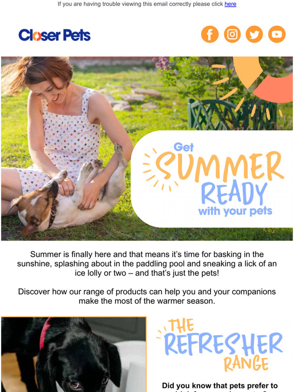 Animal lovers, get summer-ready with your pets!