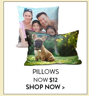 Pillows Now $12 | Shop Now>