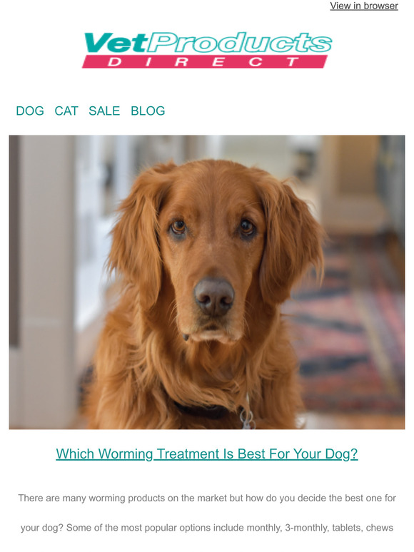 Vet Products Direct Which Worming Treatment Is Best For Your Dog?🐛🐶