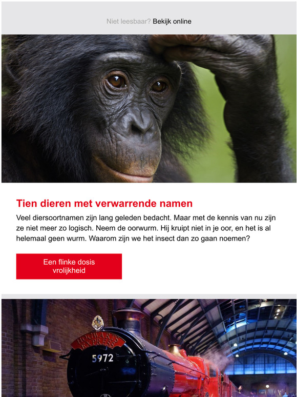 Quest Waarom duurt de bouw van de Sagrada Familia zo lang? Milled