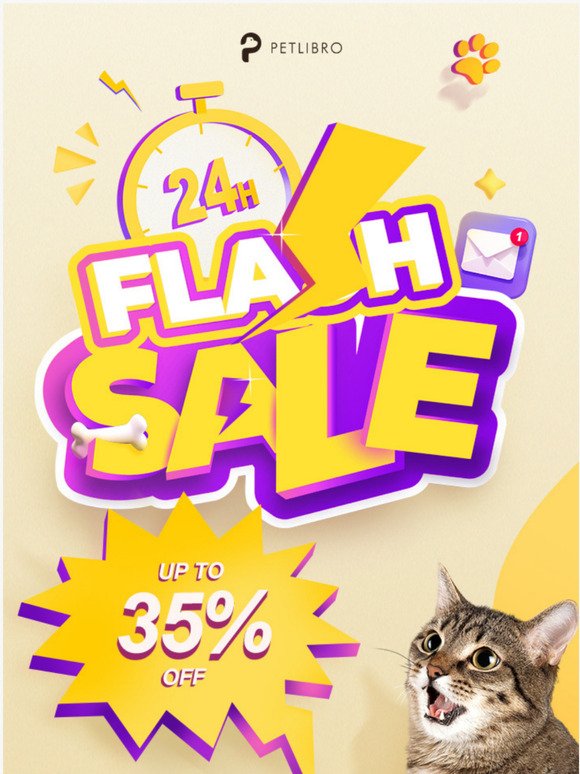 ⚡Petlibro 24-Hour Flash Sale Is On!⏰