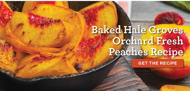 Baked Hale Groves Orchard Fresh Peaches