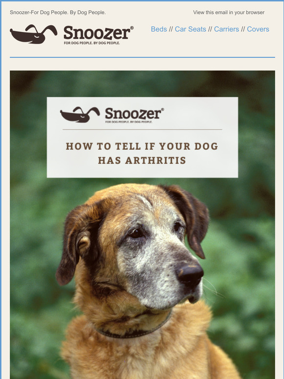 Snoozer Pet Products How to tell if your dog has arthritis Milled
