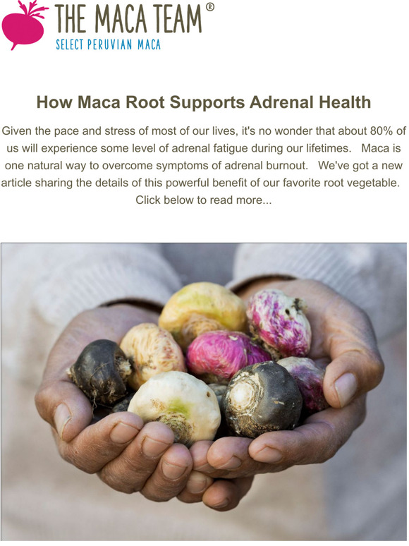 New Article - Maca for Adrenals + Summer Recipe