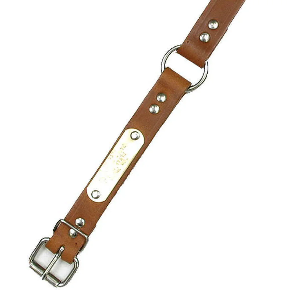 1" WIDE LEATHER DOG COLLAR WITH OPTIONAL ID TAG