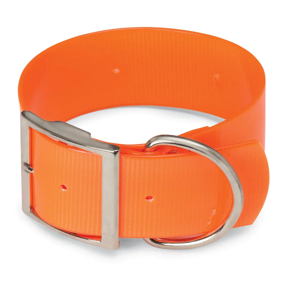 EXTRA WIDE 2" DAY-GLO DOG COLLAR - D-RING IN FRONT