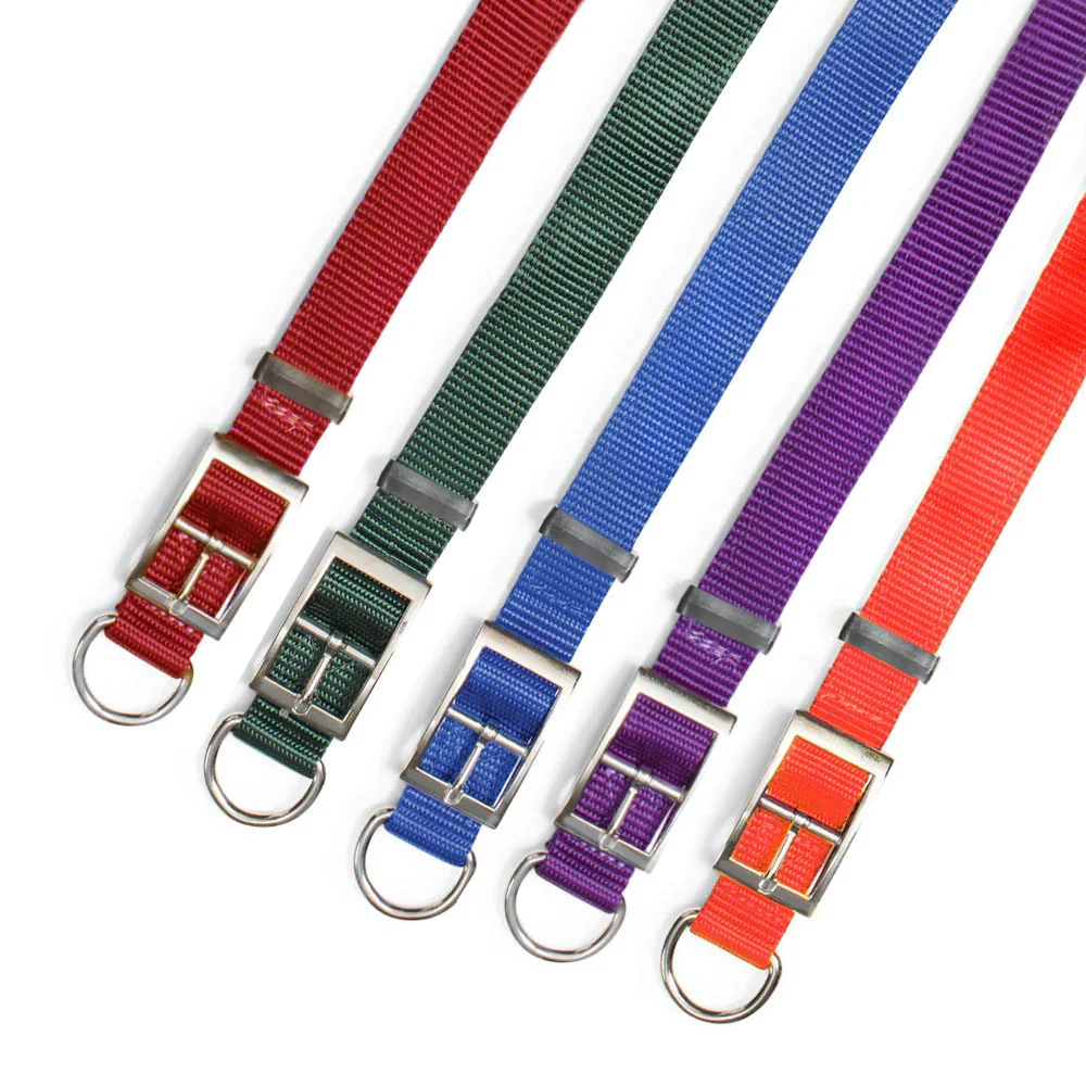 NITE LITE DOUBLE PLY NYLON 1" D-RING IN FRONT DOG COLLAR