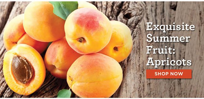 Exquisit Summer Fruit: Apricots!