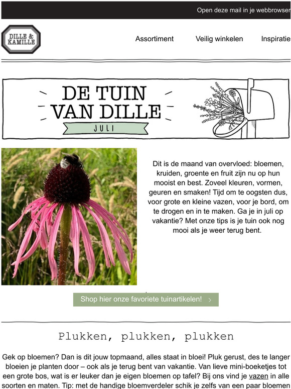 Hoogzomer - Tuintips voor juli!