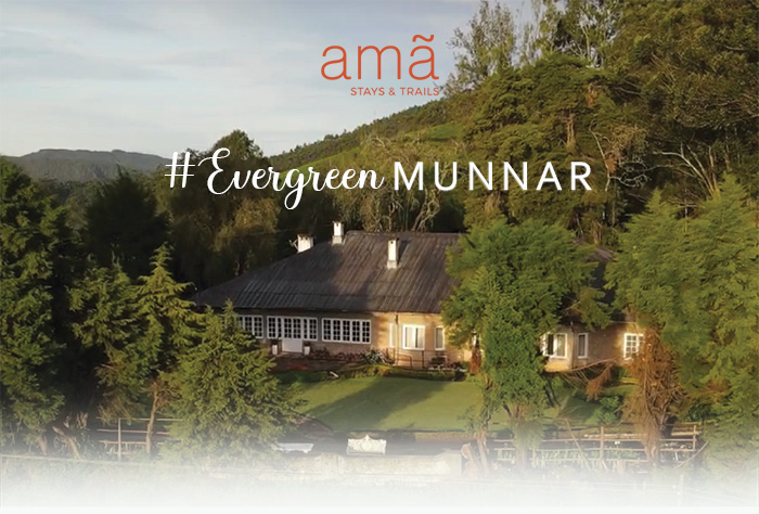 Taj Us: Destination Check: Evergreen Munnar | Milled