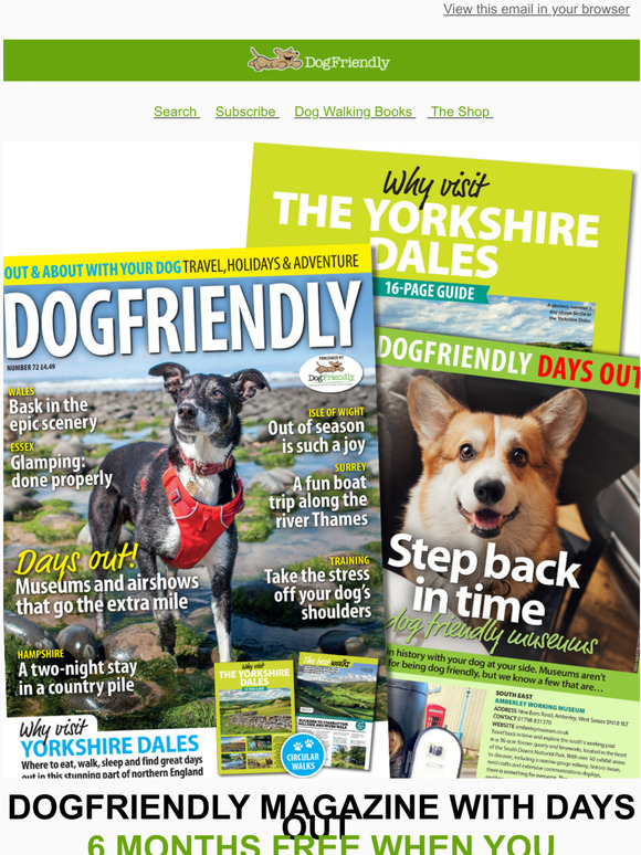 Days Out For Your Dog and SAVE 50%