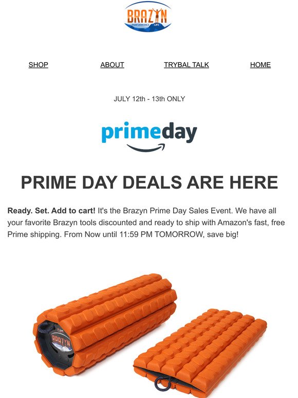 Prime Day Deals - The Brazyn Way