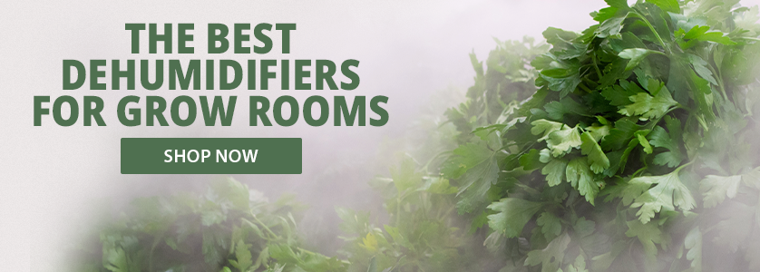 The Best Humidifiers for Grow Rooms of 2022