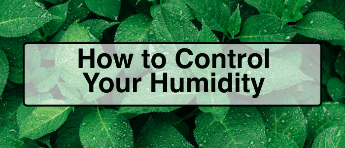 How to control your humidity in a grow tent