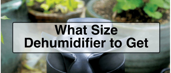 How to size your dehumidifier for your indoor garden