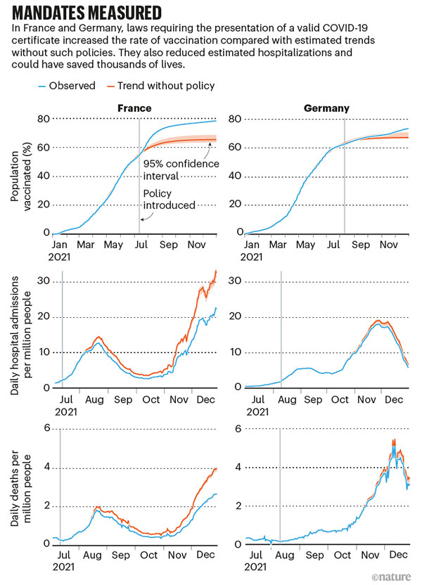 Mandates measured: graphs that show the effects of vaccine mandate polices in France and Germany