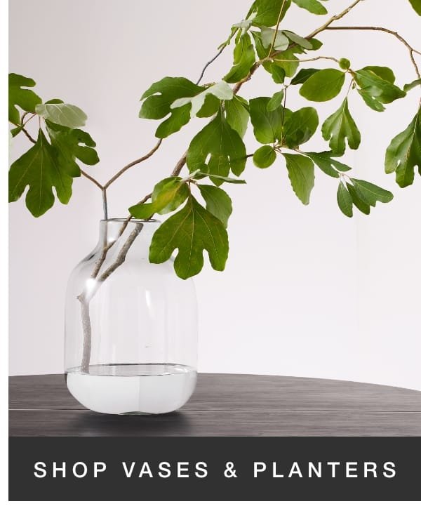 Shop Vases and Planters