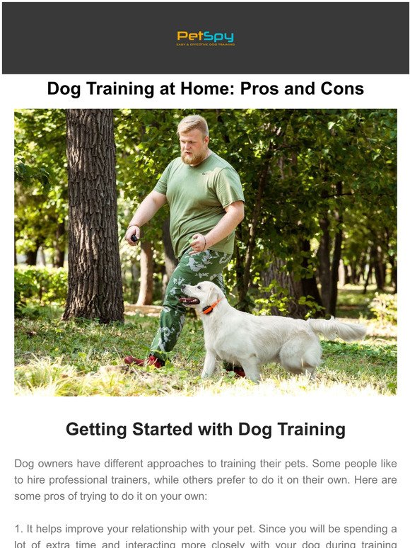 Dog Training at Home: Pros and Cons