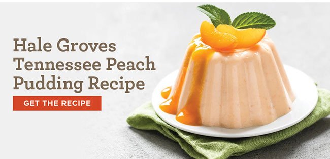 Hale Groves Tennessee Peach Pudding