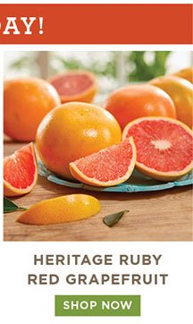 Heritage Ruby Red Grapefruit